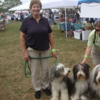 <p>Linda Mulhern and Kathleen Hingerty with dogs, Boston, April and Ollie.</p>
