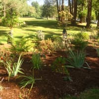 <p>One of the new gardens donated at Cherry Lawn Park by the Garden Club of Darien.</p>