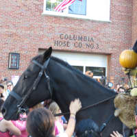 <p>And some fans even pet the horse.</p>