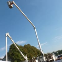<p>Brave souls rise high in the air on a boom arm at Go Wild!</p>