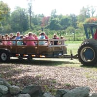 <p>It&#x27;s not a fall festival without a hay ride at Ambler Farm&#x27;s fall festival Sunday.</p>