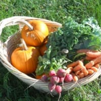 <p>Take a class and learn about the ecology of plants and seeds at the farm. </p>