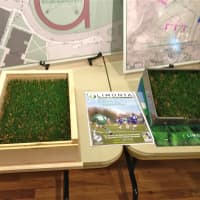 <p>A sample of the turf that is proposed for Meszaros Field</p>