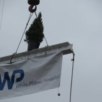 <p>A crane hoists the final hospital beam, topped by an evergreen tree, six stories up, in September 2014. On Monday, White Plains Hospital administrators and staff joined Mayor Tom Roach in celebrating the opening of three new floors which they toured.</p>
