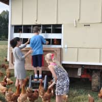 <p>Fourth-graders explore the barns. </p>