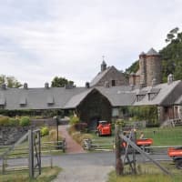 <p>Stone Barns hosted a visit from fourth-graders from Irvington&#x27;s Main Street School.</p>