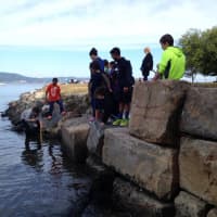 <p>Teams of students and faculty from Main Street school visited Matthiessen Park for its Hudson River Day. </p>