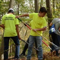 <p>Students raked leaves in efforts to make a cleaner Ward Pound Ridge Reservation.</p>