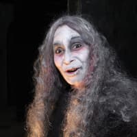 <p>Scared by the Sound Haunted House in Rye is back for its 15th season after a one-year absence due to Hurricane Sandy.</p>