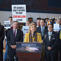 <p>Yonkers Assemblywoman Shelley Mayer addressing a crowd about the Orange County casino last week.</p>