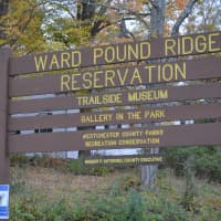 <p>An entrance to the Ward Pound Ridge Reservation.</p>