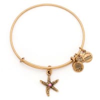 <p>Alex &amp; Ani&#x27;s breast cancer bangle sells for $28.</p>