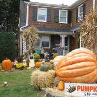 <p>A giant pumpkin that was carted in Monday&#x27;s Columbus Day parade is now on display a the corner of Parsons Street and Oakland Avenue in Harrison.</p>