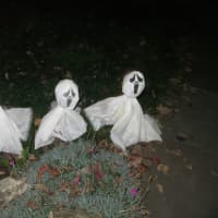 <p>These ghosts greet students walking to Louis M. Klein Middle School off Nelson Avenue in Harrison.</p>