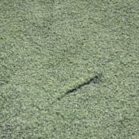 <p>The seams of the turf at the Eastchester High School field posed a safety concern for students.</p>