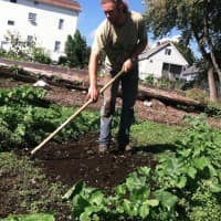 <p>Maxon Keating, farm manager and production manager, at Fairgate Farm on Stillwater Avenue uses a scuffle hoe to get rid of weeds. The garden is holding its fall harvest Saturday.</p>