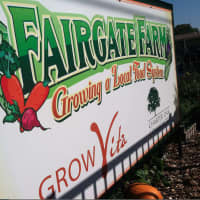 <p>Fairgate Farm on Stillwater Avenue is hosting its Fall Harvest Saturday. The community garden is celebrating its fourth harvest since it was created in 2011.</p>
