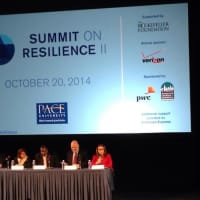<p>Rose Littlejohn moderates a panel at Pace Universitys Summit on Resilience.</p>