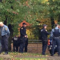 <p>New Rochelle and Westchester County police at Nature Study Woods near Webster Avenue Thursday. </p>