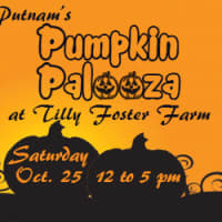<p>Pumpkin Palooza will bring seasonal fun for the family on Saturday, Oct. 25. </p>