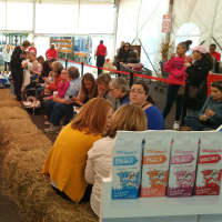 <p>Fans waited for hours to be the first in line, before the tent was filled and Martha Stewart made her appearance.</p>