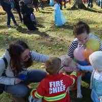<p>Cooper, a dog dressed as a pumpkin, gets attention. Somers twins Harry and Katherine Dugmore, 3 and a half, pet the dog. Their mother, Kerri Dugmore, is pictured to the left.</p>