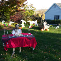 <p>The Danbury yard is decorated for Halloween with a pirate&#x27;s theme.</p>
