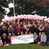 <p>Team Sue Harmon at the American Cancer Society&#x27;s Making Strides Against Breast Cancer walk in Purchase. </p>
