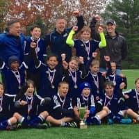 <p>The Wilton under-11 boys soccer team won the Connecticut Cup championship Saturday in Farmington.</p>
