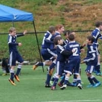 <p>Wilton players celebrate after the final whistle Saturday</p>