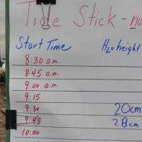 <p>Students kept a chart of the tide they measured. </p>