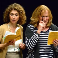 <p>The Darien Arts Center&#x27;s production of &quot;God of Carnage&quot; stars Jessie Gilbert and Eileen Lawless (pictured) as well as Larry Reina and Gary Betsworth, and is directed by Mark Graham.</p>