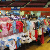 <p>Dress up? No problem for cat owners at the Westchester County Center.</p>