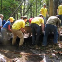 <p>Westchester Land Trust staff, assisted by Ernst &amp; Young corporate volunteers install a boardwalk at the Hunter Brook Preserve on Oct. 3, 2011.</p>