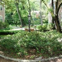<p>This apartment at 764 Palmer Road in Bronxville is open for viewing on Sunday, Nov. 23.</p>
