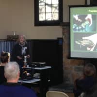 <p>Kathy Michell presents on suitability of release.</p>