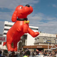 <p>Clifford, the big red dog, in the UBS Parade Spectacular Sunday in downtown Stamford.</p>