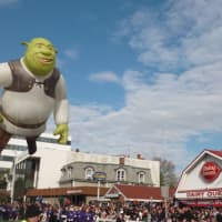 <p>Shrek in the UBS Parade Spectacular Sunday in downtown Stamford.</p>