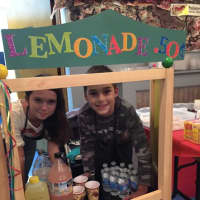 <p>Students held a lemonade stand and a bake sale. </p>