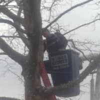 <p>Another worker uses a cherry picker as he strings lights in the plaza at the Danbury Libarry. </p>