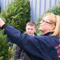 <p>Sue Macellaro of Armonk picks out a tree at the North White Plains Firehouse. </p>