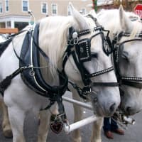 <p>Horse-drawn carriage rides were part of the many festivities at Rye&#x27;s Mistletoe Magic Festival.</p>