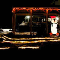 <p>Lakeshore Drive, Lake Carmel is set up for the holidays.</p>