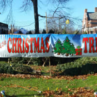 <p>The Christmas tree sale is the only fundraiser of the year for Boy Scout Troop 82.</p>