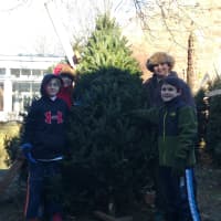 <p>Thomas, Beren, Daniel and Sam of Fairfield&#x27;s Boy Scout Troop 82, were on hand to help patrons pick out trees on Sunday, Dec. 7.</p>