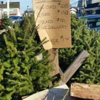 <p>Miro Brothers Christmas Tree Sale is held at the Dairy Queen parking lot.</p>
