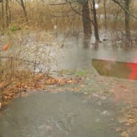 <p>Beaver Lake Swamp overflowing at the border of Harrison and Rye on Tuesday.</p>