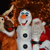 <p>A reindeer, Olaf and Santa Claus pose for photos.</p>