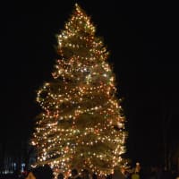 <p>A soaring Christmas tree, filled with lights, at Lewisboro&#x27;s Town Park in South Salem.</p>