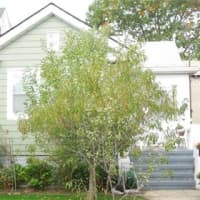 <p>This house at 147 West Sandford Blvd. in Mount Vernon is open for viewing on Sunday, Dec. 14.</p>
